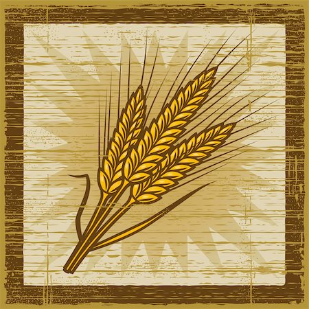 food antique illustrations - Retro cereal ears on wooden background. Vector illustration in woodcut style. Stock Photo - Budget Royalty-Free & Subscription, Code: 400-05881697