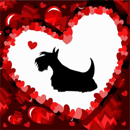 schottischer terrier - Valentine card Stockbilder - Microstock & Abonnement, Bildnummer: 400-05881753