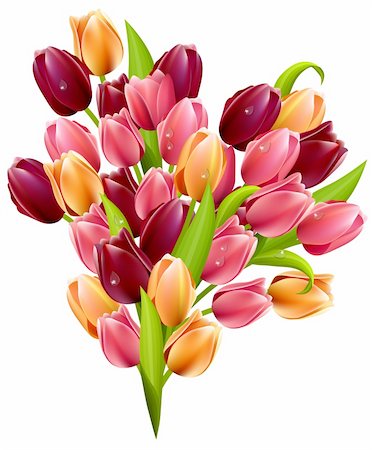 Bunch of tulips  isolated on white background Stock Photo - Budget Royalty-Free & Subscription, Code: 400-05882348