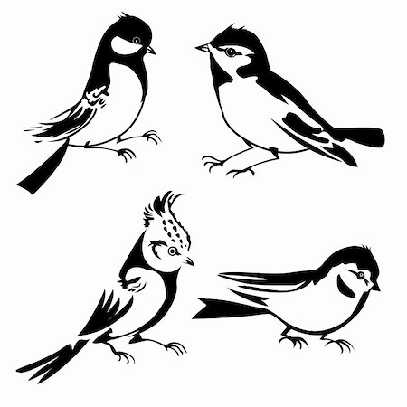 birds silhouette on white background, vector illustration Stock Photo - Budget Royalty-Free & Subscription, Code: 400-05882988