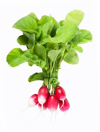 simsearch:400-07422782,k - A bunch of fresh garden radishes isolated over white background Photographie de stock - Aubaine LD & Abonnement, Code: 400-05883400