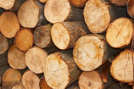 Heap of sliced wooden logs close up Stock Photo - Budget Royalty-Free & Subscription, Code: 400-05894231