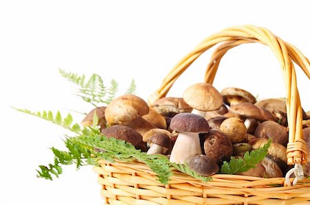 simsearch:659-02212220,k - Basket full of different mushrooms isolated on a white background Photographie de stock - Aubaine LD & Abonnement, Code: 400-05894493