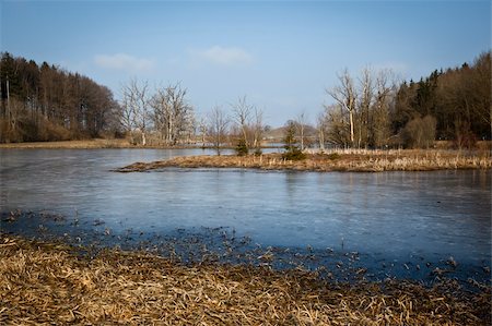 simsearch:400-06480005,k - An image of a frozen lake in bavaria Germany Foto de stock - Super Valor sin royalties y Suscripción, Código: 400-05894586