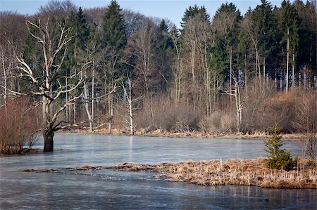 simsearch:400-06480005,k - An image of a frozen lake in bavaria Germany Foto de stock - Super Valor sin royalties y Suscripción, Código: 400-05894583