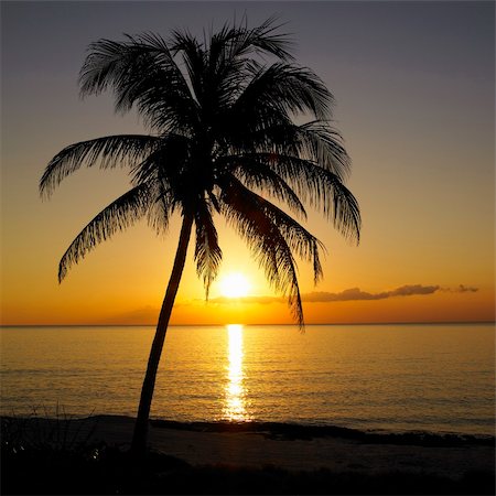 simsearch:6129-09044541,k - sunset over Caribbean Sea, Maria la Gorda, Pinar del Rio Province, Cuba Foto de stock - Royalty-Free Super Valor e Assinatura, Número: 400-05897046