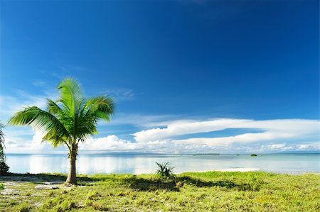 Beautiful wild beach at remote island, Philippines Stock Photo - Budget Royalty-Free & Subscription, Code: 400-05897499