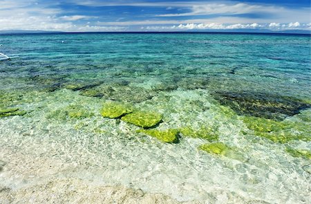 Beautiful beach at Balicasag island, Philippines Stock Photo - Budget Royalty-Free & Subscription, Code: 400-05897515