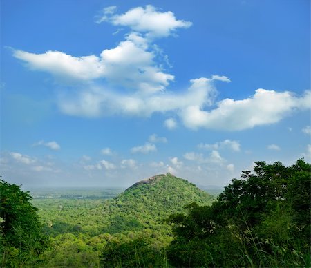 simsearch:862-08699699,k - magical view of the tropical jungle in the central  Sri Lanka ( Ceylon ) Fotografie stock - Microstock e Abbonamento, Codice: 400-05898130