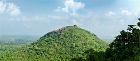 simsearch:862-08699699,k - magical view of the tropical jungle in the central  Sri Lanka ( Ceylon ) Fotografie stock - Microstock e Abbonamento, Codice: 400-05898131