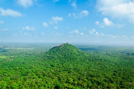 simsearch:862-08699699,k - magical view of the tropical jungle in the central  Sri Lanka ( Ceylon ) Fotografie stock - Microstock e Abbonamento, Codice: 400-05898133