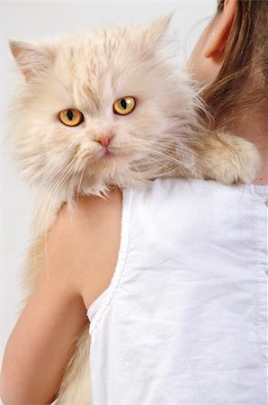 close-up portrait of a little girl playing with a Persian breed cat Photographie de stock - Aubaine LD & Abonnement, Code: 400-05899300