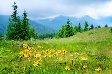 simsearch:400-06925688,k - Beautiful mountains landscape in Carpathian Photographie de stock - Aubaine LD & Abonnement, Code: 400-05899550