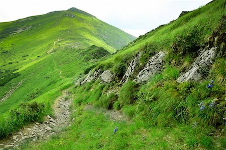 simsearch:400-06925691,k - Beautiful mountains landscape in Carpathian Foto de stock - Super Valor sin royalties y Suscripción, Código: 400-05899568