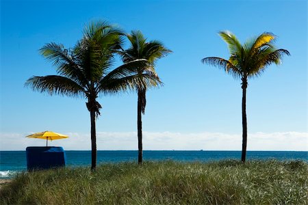 A single umbrella on the beach located next to three palm trees provides solitude and quiet during vacations. Stock Photo - Budget Royalty-Free & Subscription, Code: 400-05890175