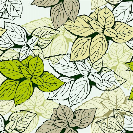 Background from basil leafs green and beige vector Stock Photo - Budget Royalty-Free & Subscription, Code: 400-05891032