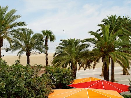 Beautiful beach with palm trees and umbrellas Photographie de stock - Aubaine LD & Abonnement, Code: 400-05891511