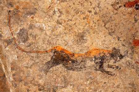 simsearch:400-04669394,k - Bushmen (san) rock painting depicting a predator (leopard), South Africa Stock Photo - Budget Royalty-Free & Subscription, Code: 400-05891866