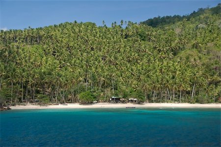 raja ampat island - The view of a coconut plantation and local homes, North Sulawesi Indonesia Stock Photo - Budget Royalty-Free & Subscription, Code: 400-05892265