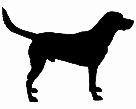 retriever silhouette - Labrador silhouette Stock Photo - Budget Royalty-Free & Subscription, Code: 400-05892458