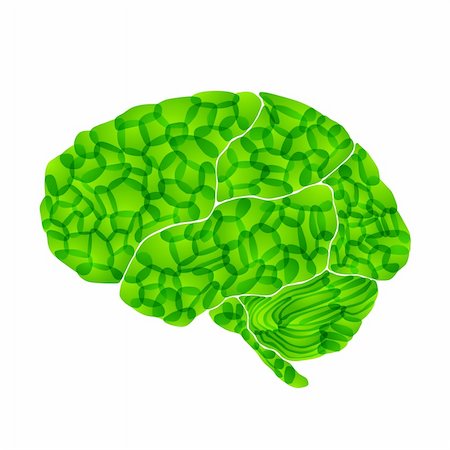 human brain, green thoughts, vector abstract background Photographie de stock - Aubaine LD & Abonnement, Code: 400-05893436