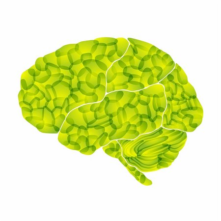 physiology - human brain, light green aura, vector abstract background Stock Photo - Budget Royalty-Free & Subscription, Code: 400-05893454