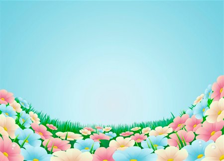 simsearch:400-04439518,k - Field or meadow with beautiful flowers and blue sky Stock Photo - Budget Royalty-Free & Subscription, Code: 400-05893938