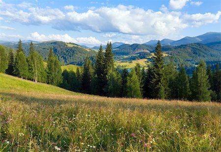 simsearch:400-06063989,k - Summer mountain landscape with flowering grassland in front Foto de stock - Royalty-Free Super Valor e Assinatura, Número: 400-05904004