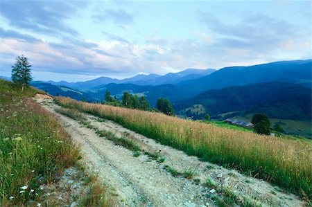 simsearch:400-06063989,k - Dirty road through the evening flowering grassland in mountain Foto de stock - Royalty-Free Super Valor e Assinatura, Número: 400-05904006