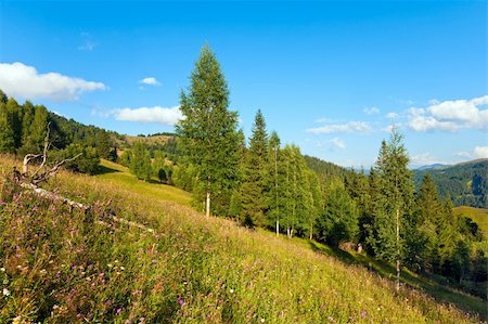 simsearch:400-06063989,k - Summer mountain landscape with flowering grassland in front Foto de stock - Royalty-Free Super Valor e Assinatura, Número: 400-05904001