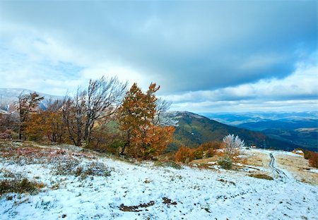 simsearch:400-08401989,k - October Carpathian mountain Borghava plateau with first winter snow and autumn colorful foliage Foto de stock - Super Valor sin royalties y Suscripción, Código: 400-05904334
