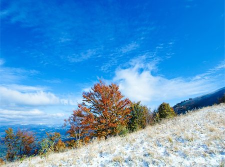 simsearch:400-05713513,k - October Carpathian mountain plateau with first winter snow and autumn colorful tree Stock Photo - Budget Royalty-Free & Subscription, Code: 400-05904333