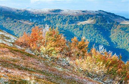 simsearch:400-05713513,k - October Carpathian mountain Borghava plateau with first winter snow and autumn colorful bilberry bushes Stock Photo - Budget Royalty-Free & Subscription, Code: 400-05904345