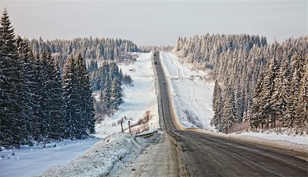Frozen trees and snowy land road photo Fotografie stock - Microstock e Abbonamento, Codice: 400-05904578