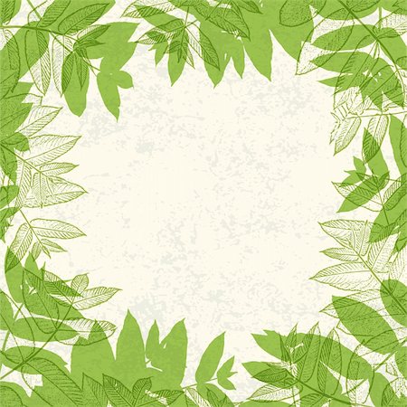 simsearch:400-04739592,k - Green leaves frame on paper texture. Vector illustration, EPS10. Foto de stock - Royalty-Free Super Valor e Assinatura, Número: 400-05904696