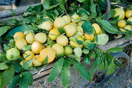 Decorative wooden barrow full with fresh lemons Stockbilder - Microstock & Abonnement, Bildnummer: 400-05905285