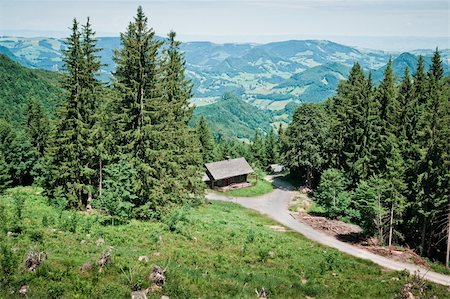 Small hut between high trees in the austrian alps Stockbilder - Microstock & Abonnement, Bildnummer: 400-05905289