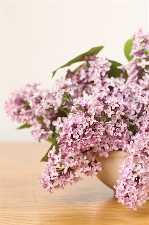 simsearch:400-08197381,k - Beautiful pink lilac in a vase. Shallow dof Foto de stock - Super Valor sin royalties y Suscripción, Código: 400-05905552