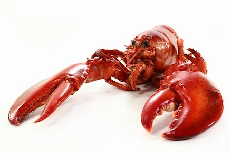 silencefoto (artist) - a boiled lobster on a white background Stockbilder - Microstock & Abonnement, Bildnummer: 400-05905678