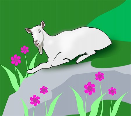 simsearch:400-06087517,k - A goat rests on a rock in a     grassy slope where it grows     flowers. Stock Photo - Budget Royalty-Free & Subscription, Code: 400-05905711