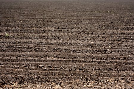 simsearch:400-07951597,k - Fresh soil background closeup Photographie de stock - Aubaine LD & Abonnement, Code: 400-05905848