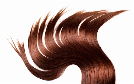 salon background - human brown hair on white isolated background Stock Photo - Budget Royalty-Free & Subscription, Code: 400-05906387