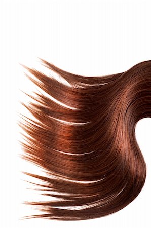 salon background - human brown hair on white isolated background Stock Photo - Budget Royalty-Free & Subscription, Code: 400-05906388