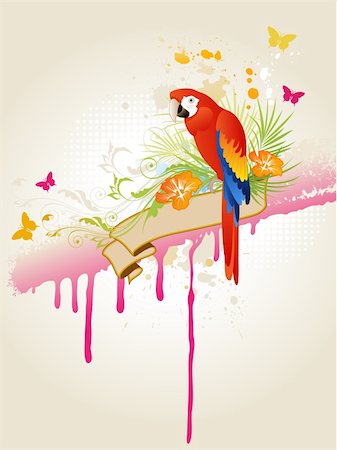 red parrot - vector tropical summer background with  parrot Stock Photo - Budget Royalty-Free & Subscription, Code: 400-05906573