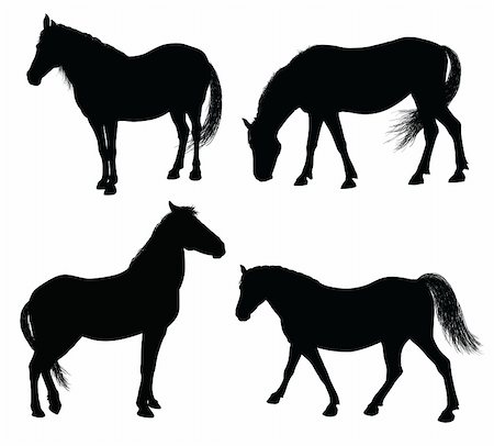 Detailed horse silhouettes collection 7000x6329. Vector eps8 Stock Photo - Budget Royalty-Free & Subscription, Code: 400-05907060