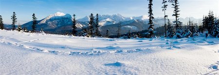 simsearch:400-05344522,k - Panoramic Tatra Mountains in winter scenery. Photographie de stock - Aubaine LD & Abonnement, Code: 400-05907138