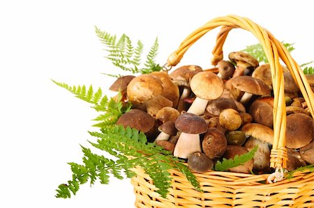simsearch:659-02212220,k - Basket full of different mushrooms isolated on a white background Photographie de stock - Aubaine LD & Abonnement, Code: 400-05907202