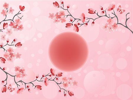 Cherry blossom - Japanese spring Stock Photo - Budget Royalty-Free & Subscription, Code: 400-05907709