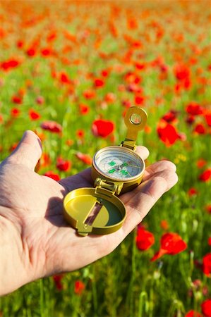 Compass in a Hand / Discovery / Beautiful Day / Red Poppies in Nature Stock Photo - Budget Royalty-Free & Subscription, Code: 400-05907788