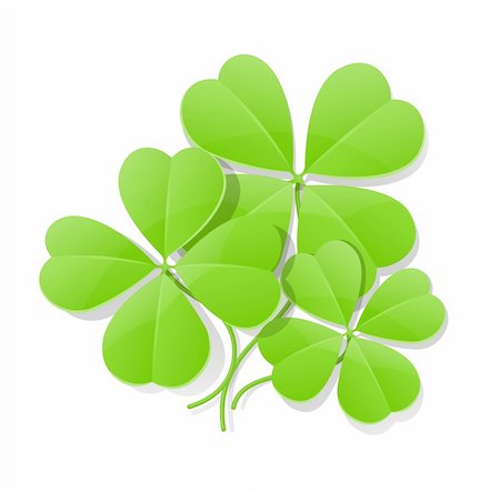 clover four leaf for saint patrick's day vector illustration isolated on white background EPS10. Transparent objects used for shadows and lights drawing Stock Photo - Budget Royalty-Free & Subscription, Code: 400-05907780